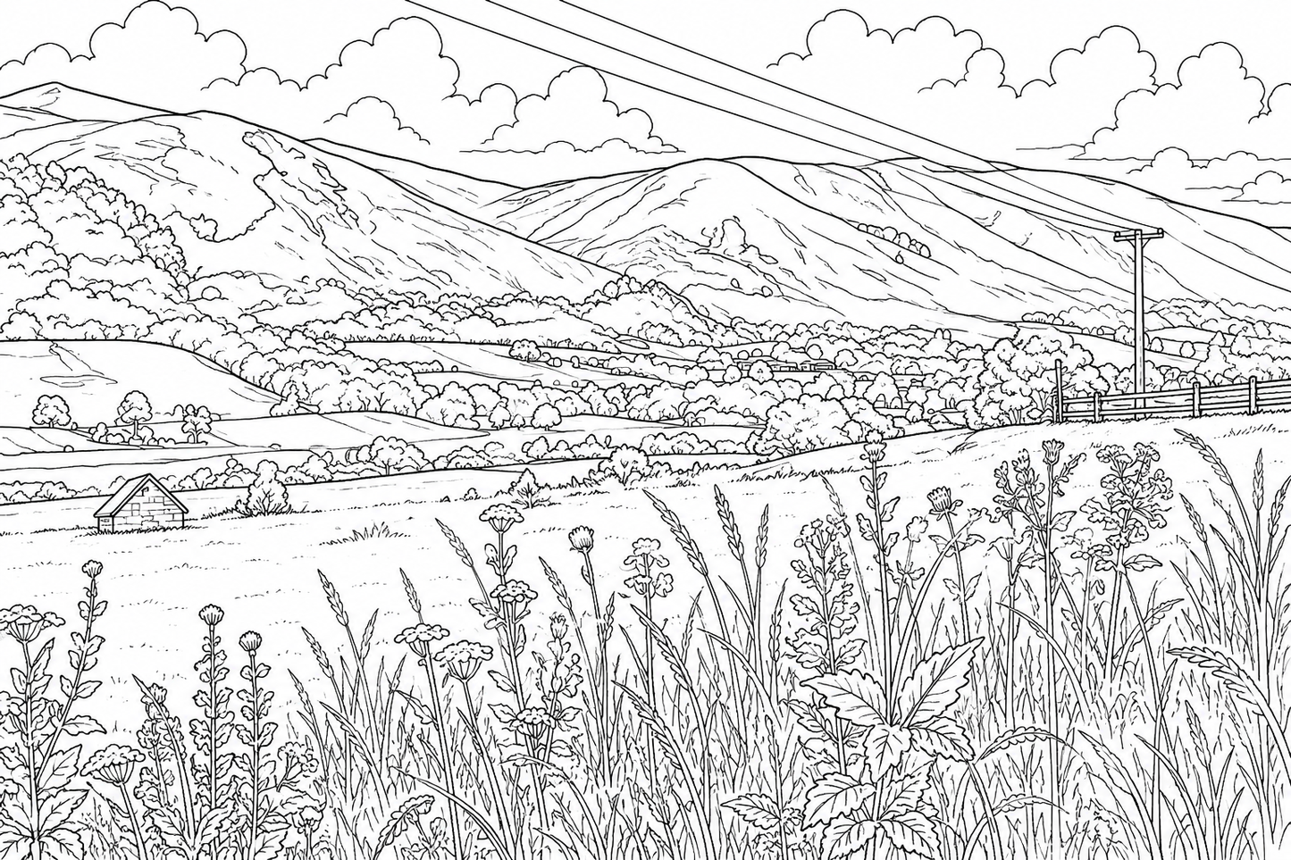 Clackmannanshire Colouring Book